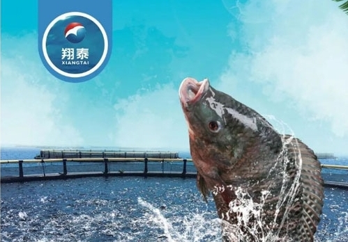 翔泰漁業(yè)深耕【海南鯛】近二十年，堅持高品質水產品穩(wěn)定供應，不斷創(chuàng)新研發(fā)產品以滿足不同市場需求！