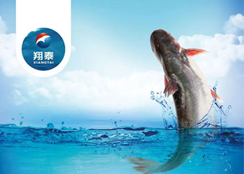 繼金鯧魚、海南鯛之后！翔泰漁業(yè)全力打造第三條精品魚【海南巴沙魚】