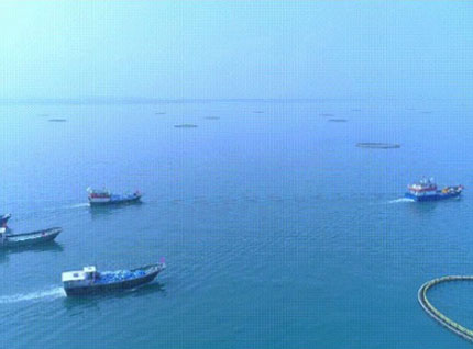 首批漁獲——翔泰2023金鯧魚全面開捕，從南海到餐桌，全程可追溯！